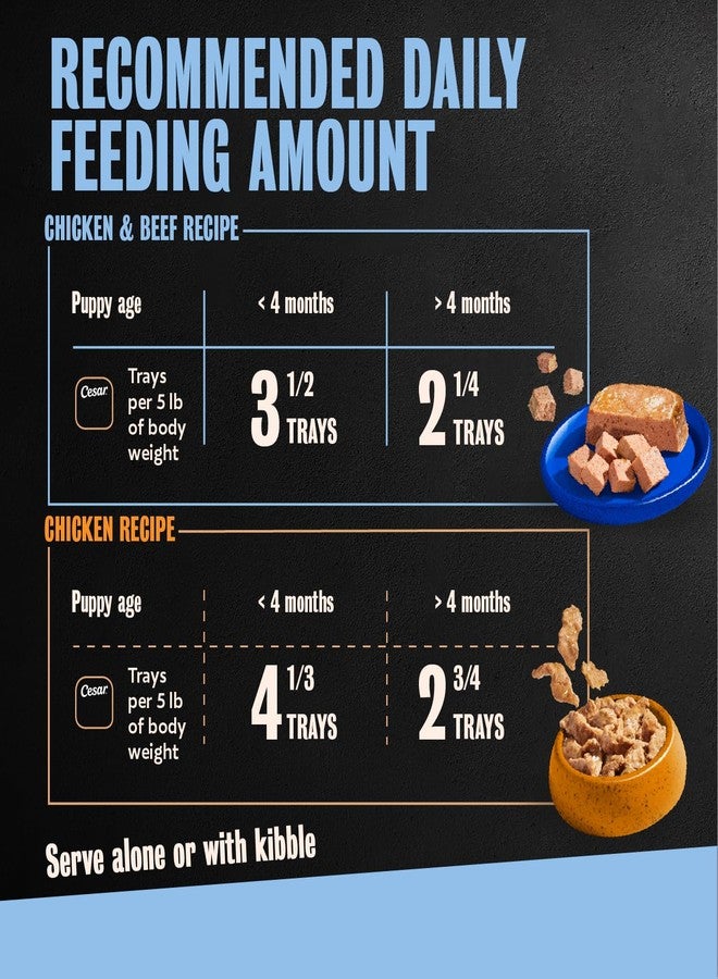 Cesar Puppy Classic Loaf in Sauce and Filets in Gravy Wet Dog Food Variety Pack, Chicken & Beef and Chicken Recipes, 3.5 oz. Easy Peel Trays, Dog Food Toppers, 12 Count (Pack of 2) - Image 5